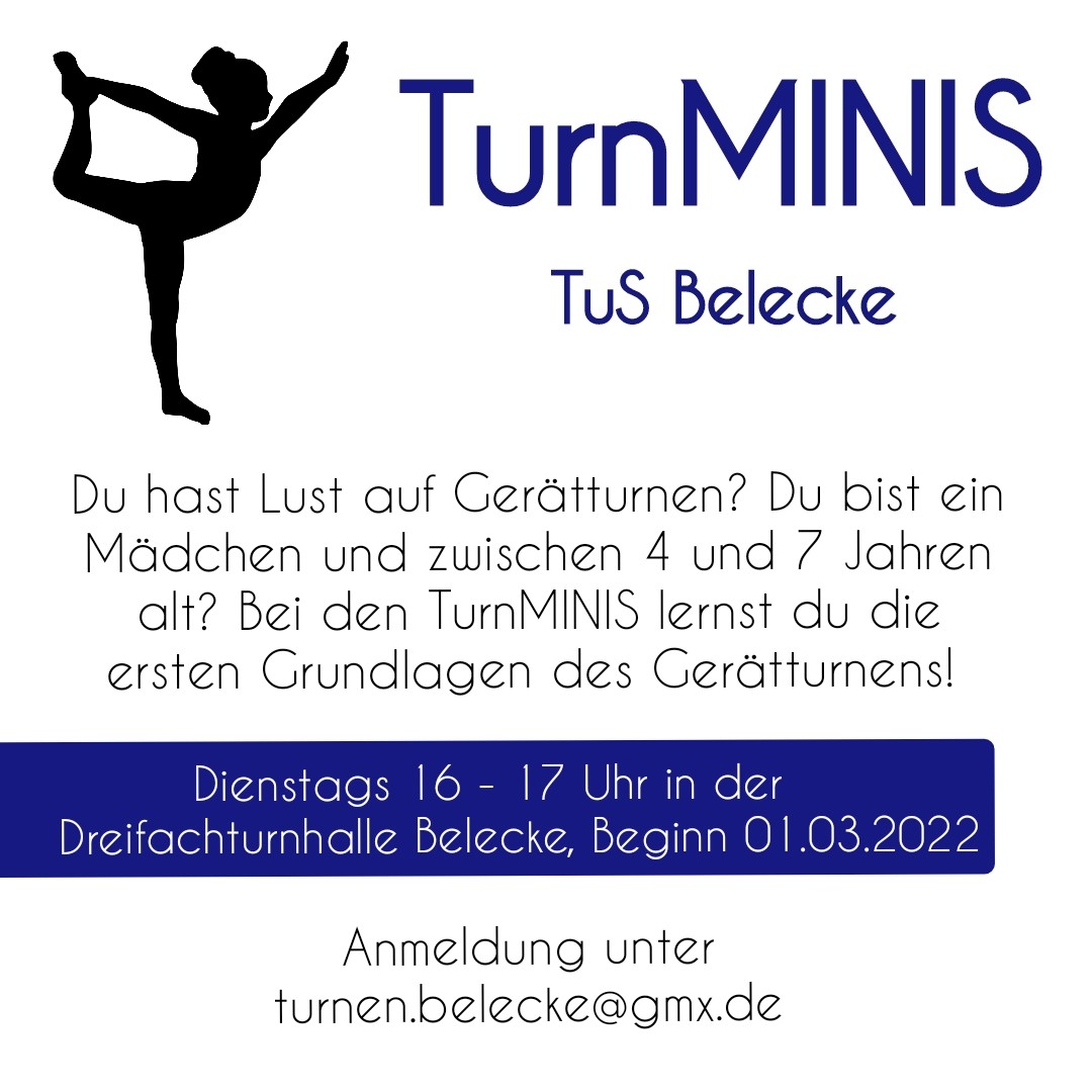 Turnminis