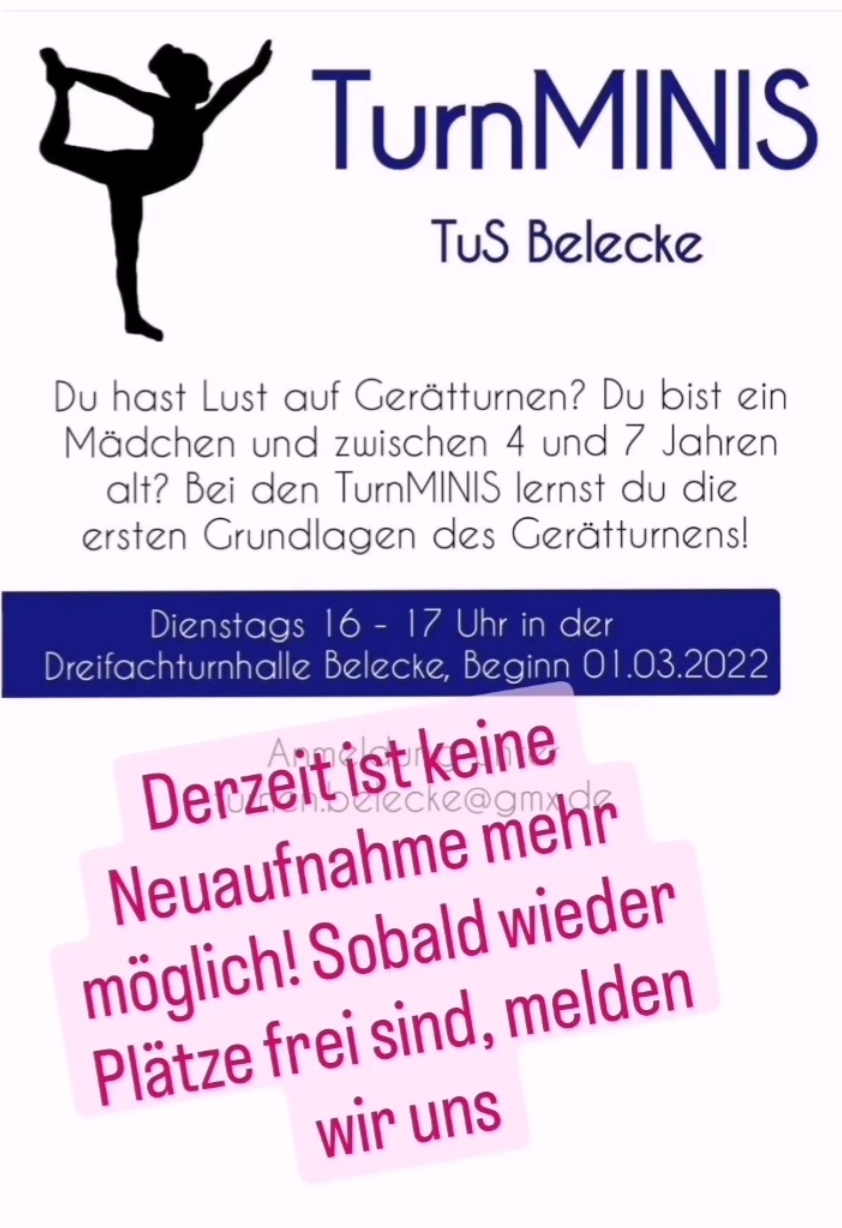 Turnminis 2
