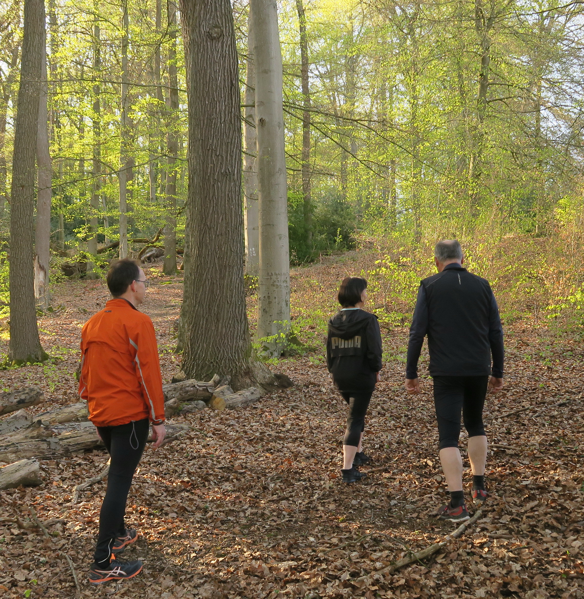 LauftreffFoto
